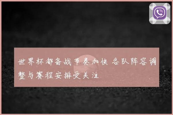 世界杯都备战节奏加快 各队阵容调整与赛程安排受关注